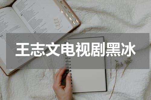 王志文电视剧黑冰