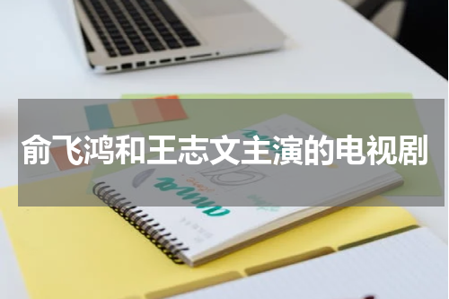 俞飞鸿和王志文主演的电视剧