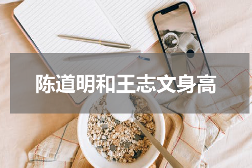 陈道明和王志文身高