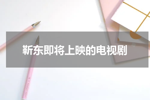 靳东即将上映的电视剧