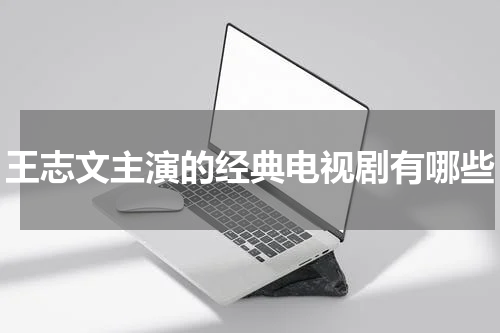 王志文主演的经典电视剧有哪些