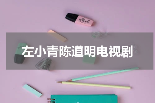 左小青陈道明电视剧