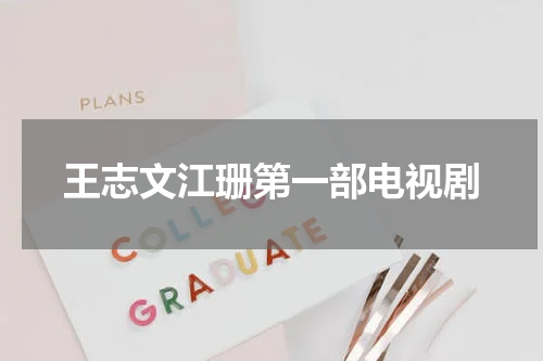 王志文江珊第一部电视剧