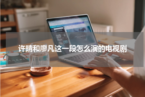 许晴和廖凡这一段怎么演的电视剧
