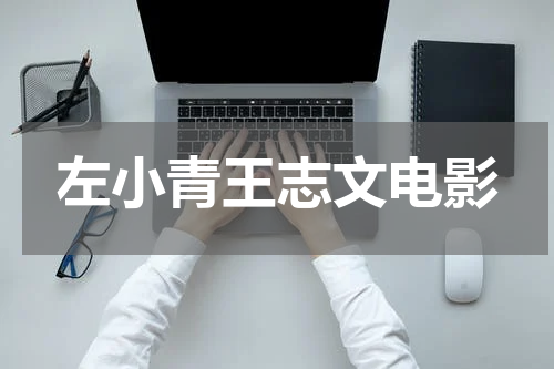 左小青王志文电影
