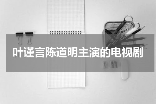 叶谨言陈道明主演的电视剧