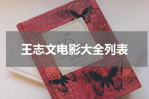 王志文电影大全列表