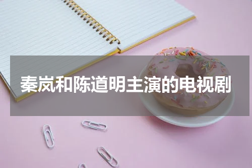 秦岚和陈道明主演的电视剧