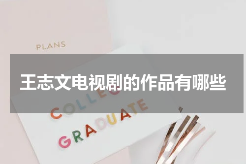 王志文电视剧的作品有哪些