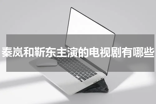 秦岚和靳东主演的电视剧有哪些