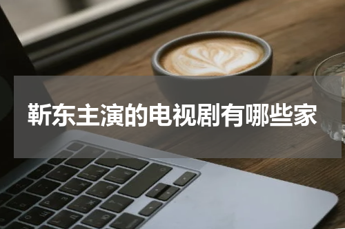靳东主演的电视剧有哪些家