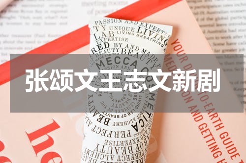 张颂文王志文新剧