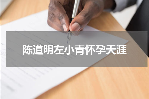 陈道明左小青怀孕天涯