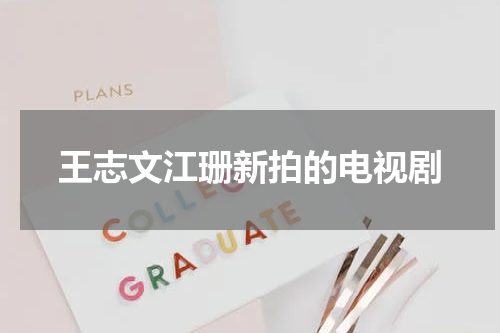 王志文江珊新拍的电视剧