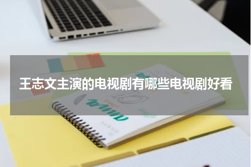 王志文主演的电视剧有哪些电视剧好看