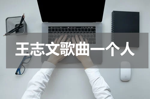王志文歌曲一个人