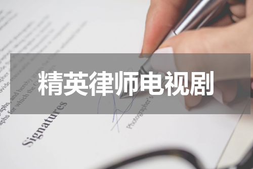 精英律师电视剧