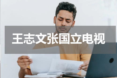 王志文张国立电视