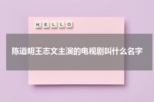 陈道明王志文主演的电视剧叫什么名字
