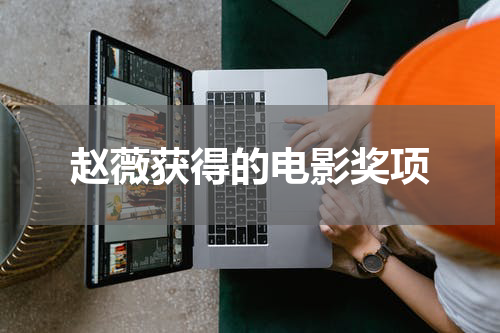 赵薇获得的电影奖项