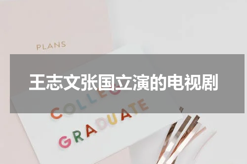 王志文张国立演的电视剧