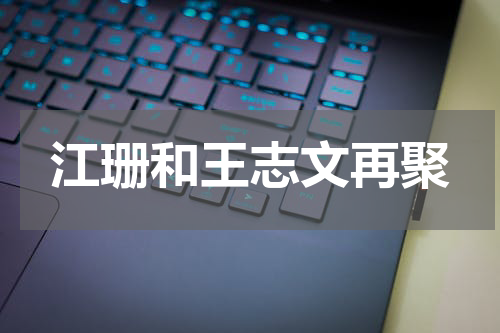 江珊和王志文再聚