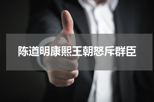 陈道明康熙王朝怒斥群臣