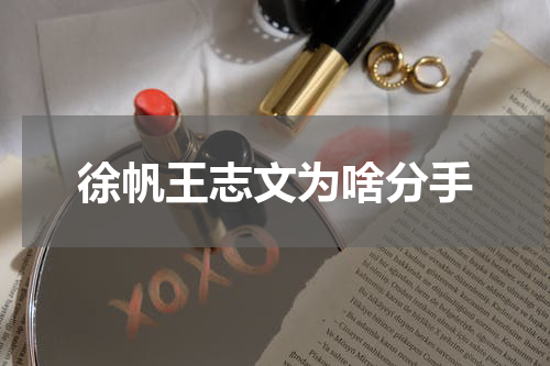 徐帆王志文为啥分手