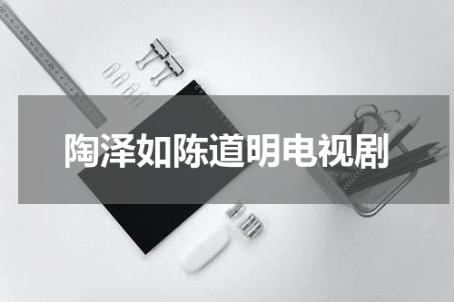 陶泽如陈道明电视剧