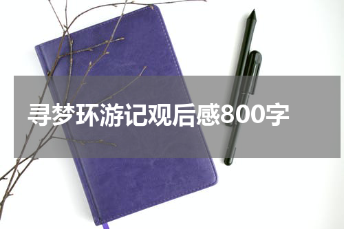 寻梦环游记观后感800字