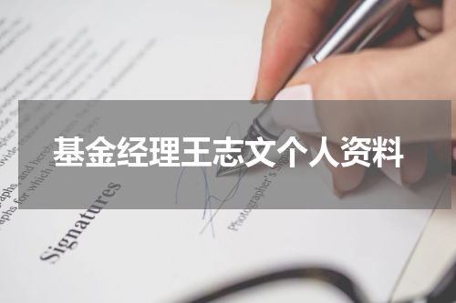 基金经理王志文个人资料
