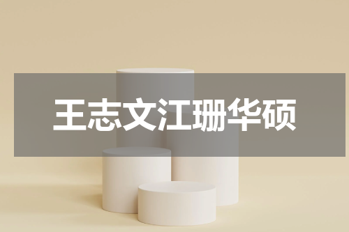 王志文江珊华硕
