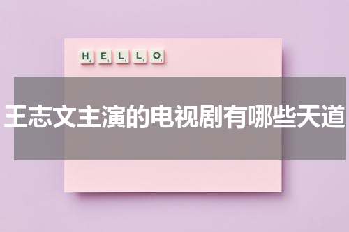 王志文主演的电视剧有哪些天道