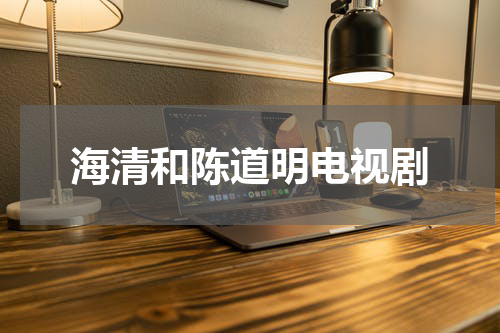 海清和陈道明电视剧