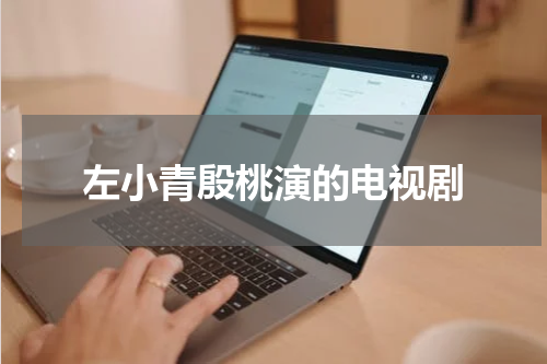 左小青殷桃演的电视剧