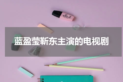蓝盈莹靳东主演的电视剧