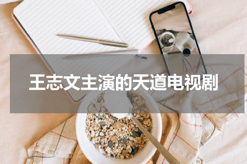 王志文主演的天道电视剧