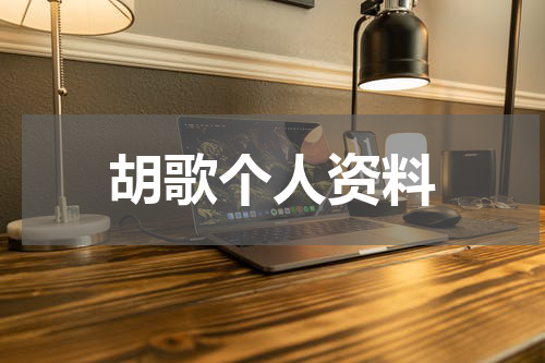 胡歌个人资料