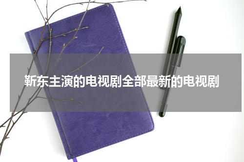 靳东主演的电视剧全部最新的电视剧