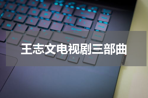 王志文电视剧三部曲
