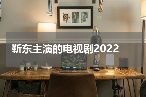 靳东主演的电视剧2022