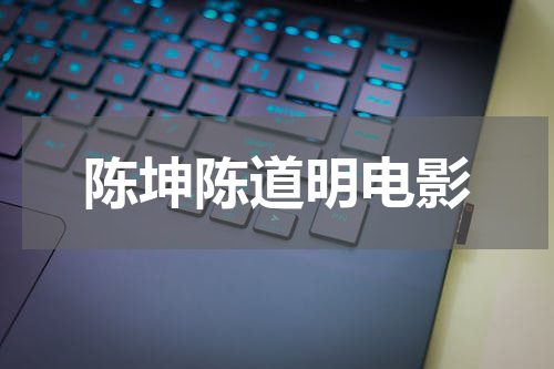 陈坤陈道明电影
