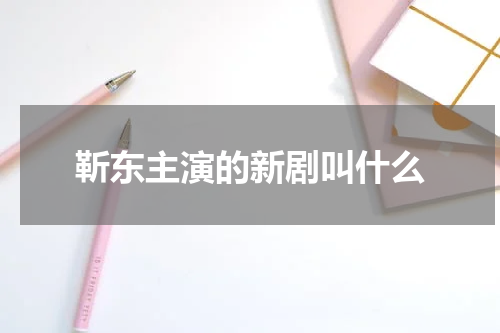 靳东主演的新剧叫什么