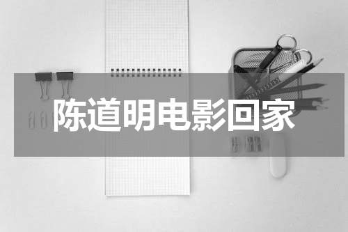陈道明电影回家