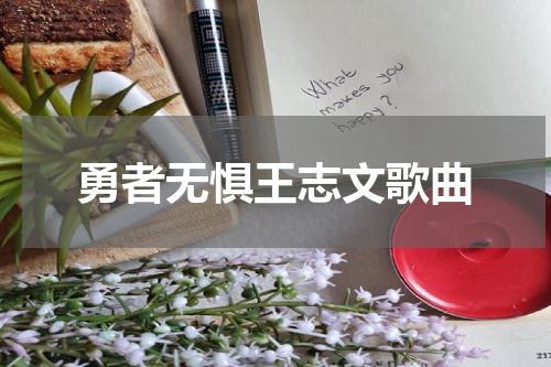 勇者无惧王志文歌曲