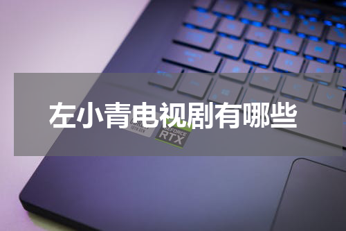左小青电视剧有哪些