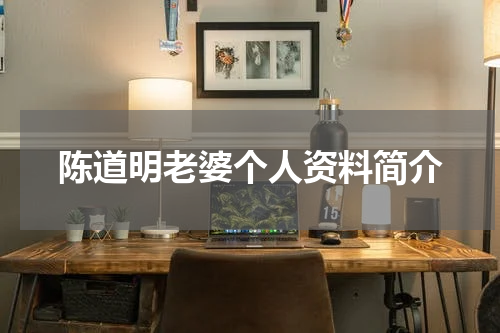 陈道明老婆个人资料简介
