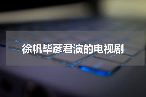徐帆毕彦君演的电视剧