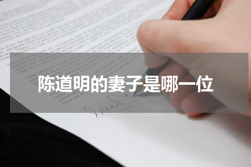 陈道明的妻子是哪一位