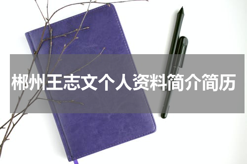 郴州王志文个人资料简介简历